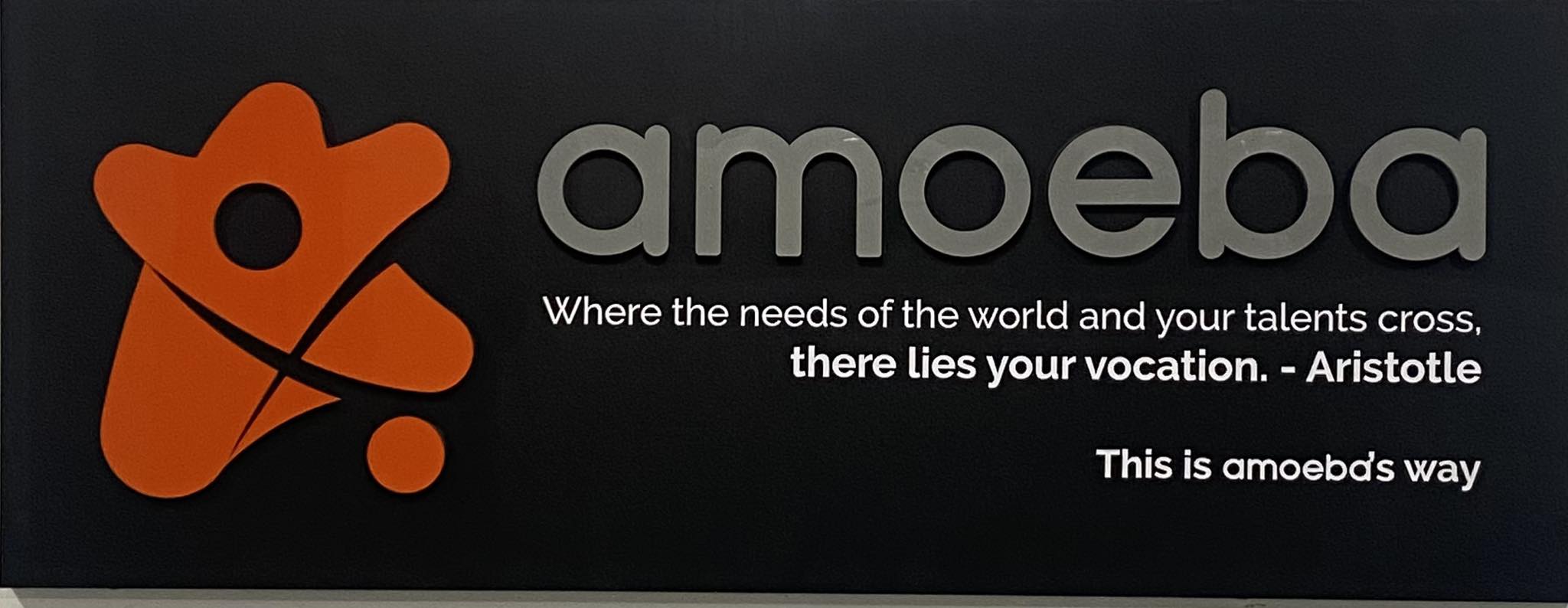 Amoeba Group - Commerce & Digital Transformation